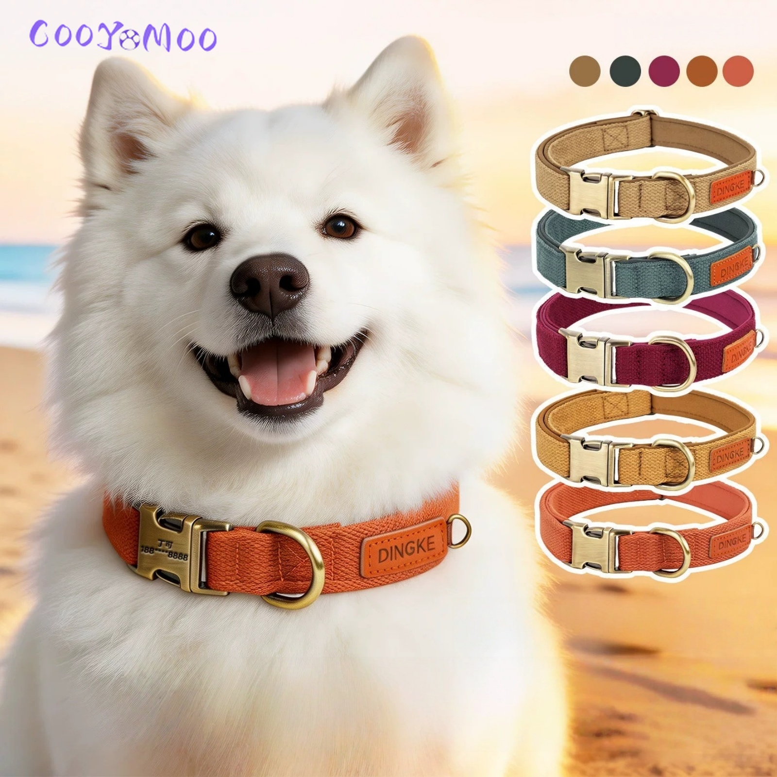 Personalisiertes Hundehalsband – Leather Strap Quick Release Bewertung und Preis