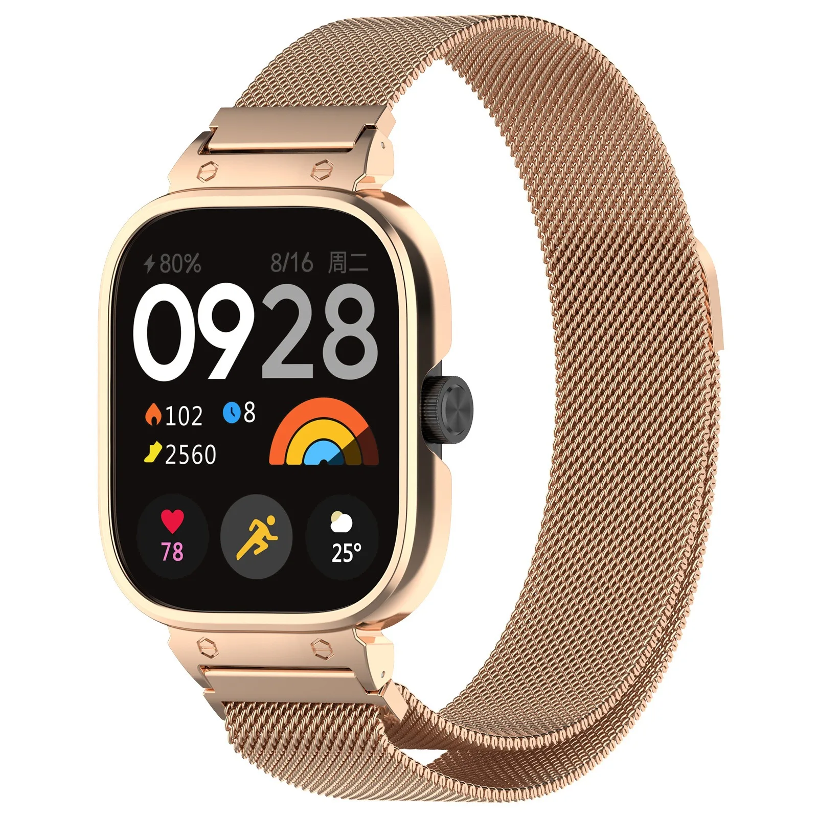 Metallgehäuse + Milanese-Schla – Milanese Loop Magnetic Bewertung und Preis